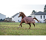 Regendecke Billy