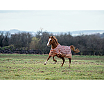 Regendecke Billy