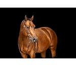 Westernkopfst�ck Copper