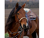 Bosal Remy