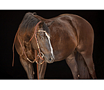 Kopfstck Braided Rawhide
