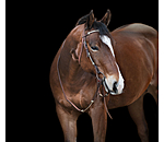 Kopfst�ck Braided Rawhide