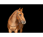 Trainingskopfst�ck Harness