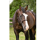 Hybrid Knotenhalfter