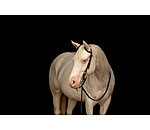 Zweiohr-Kopfst�ck Leaves