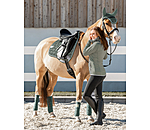 Schabracke Basic Pro