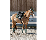 Schabracke Basic Pro