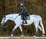 Schabracke Sparkling II