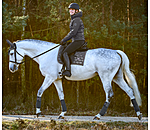 Schabracke Sparkling II