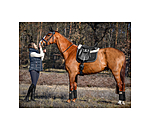 Teddyfleece-Schabracke Just Sparkle