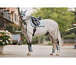 Schabracke Swiss Design