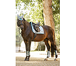 Schabracke Swiss Design