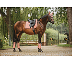 Schabracke Brilliant