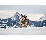 Hunde Wintermantel Eddie mit Fleeceinnenfutter, 200 g