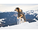 Hunde Wintermantel Eddie mit Fleeceinnenfutter, 200 g
