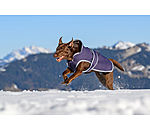 Hunde Wintermantel Eddie mit Fleeceinnenfutter, 200 g