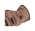 2 in 1 Nylon-Hundemantel Ally