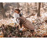 2 in 1 Nylon-Hundemantel Ally