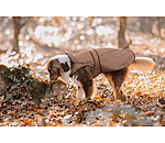 2 in 1 Nylon-Hundemantel Ally