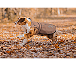 2 in 1 Nylon-Hundemantel Ally
