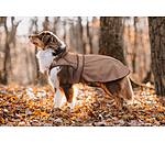 2 in 1 Nylon-Hundemantel Ally
