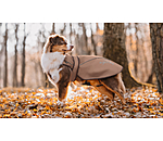 2 in 1 Nylon-Hundemantel Ally