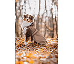 2 in 1 Nylon-Hundemantel Ally