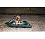 Hunde-Schlafsack Sirius