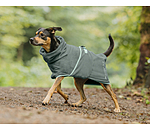 Hunde-Trocknungscape Dry Dog II