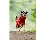 Hunde-Trocknungscape Dry Dog II