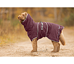 Hunde-Trocknungscape Dry Dog II