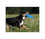 Hunde-Frisbee Runaway