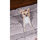 Hunde-Liegedecke Let Me Sleep