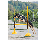 Agility Stangenauflagen