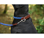 Hundehalsband Coloured Rope
