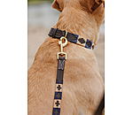 Set: Leder-Hundehalsband und -leine Polo Sports