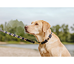 Set: Leder-Hundehalsband und -leine Polo Sports