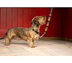 Set: Leder-Hundehalsband und -leine Polo Sports