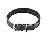 Set: Leder-Hundehalsband und -leine Polo Sports
