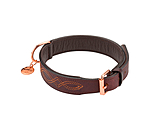 Leder-Hundehalsband Livorno