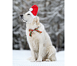 Weihnachtsmütze Santa für Hunde