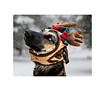 Weihnachtsgeweih Rudolph fr Hunde