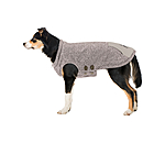 Hunde-Pullover Seb