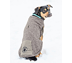 Hunde-Pullover Seb