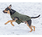 Hunde-Pullover Seb