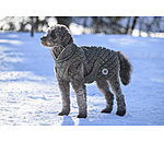 Hundemantel Archie mit Teddyfleece-Innenfutter, 160 g