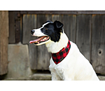 Hundehalstuch Henry