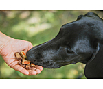 Bunter Snack-Mix fr Hunde
