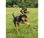 Wurf-Hundespielzeug Home Run