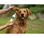 Hunde-Ohrreiniger Listen Up